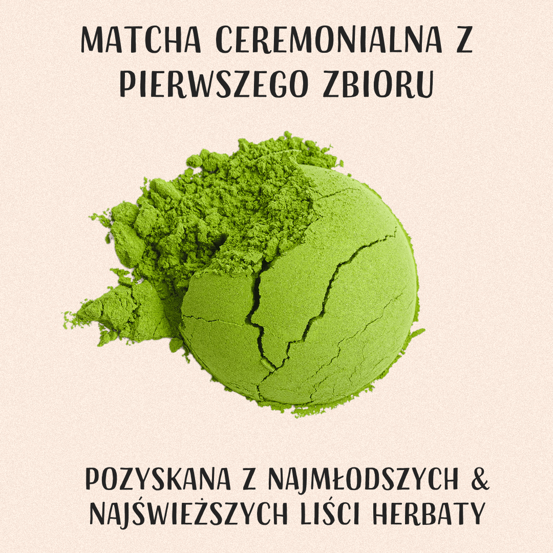 Matcha Pierwszy Zbiór 2026 - MATCHA HOUSE